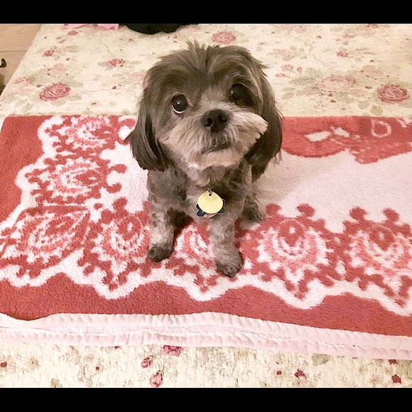 Meet your Posher Ella - Picture 6 of 14